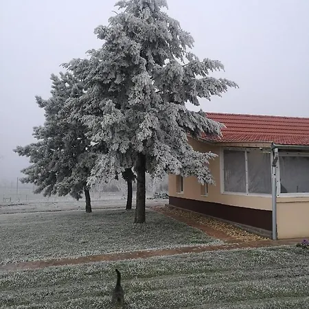 Birs Vendeghaz Vendégház