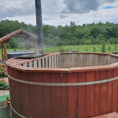 Гостевой дом Birs Vendeghaz 4*