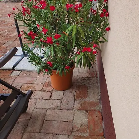 Гостевой дом Birs Vendeghaz 4*