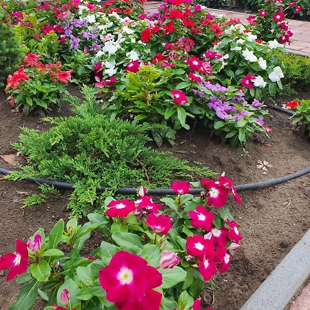 Birs Vendeghaz Гостевой дом 4*