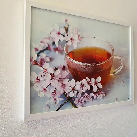 Birs Vendeghaz 4* Ясберень