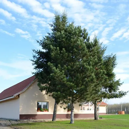 Birs Vendeghaz Гостевой дом