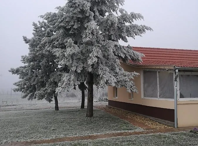 Birs Vendeghaz Pensión